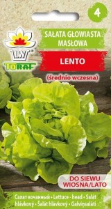 Sałata głowiasta masłowa LENTO (średnio wczesna) nasiona
