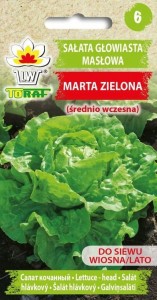 Sałata głowiasta masłowa MARTA ZIELONA (średnio wczesna) nasiona
