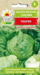 Sałata krucha lodowa Traper nasiona