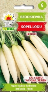 Rzodkiewka Sopel Lodu (późna) nasiona