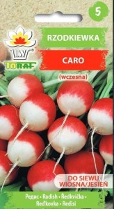 Rzodkiewka Caro (wczesna) NASIONA