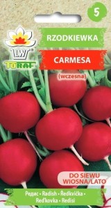 Rzodkiewka Carmesa (wczesna) NASIONA
