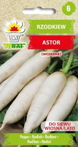 PRzodkiew Astor (wczesna) NASIONA