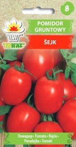 Pomidor gruntowy Sejk NASIONA