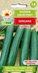 Ogórek gruntowy GERGANA (wczesny) NASIONA