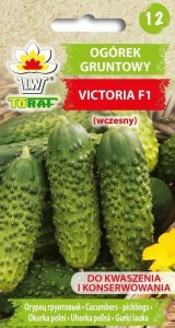 Ogórek gruntowy VICTORIA F1 (wczesny)