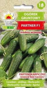 Ogórek gruntowy PARTNER F1 (średnio wczesny)