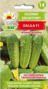 Ogórek gruntowy DALILA F1 5g nasiona średnio wczesny