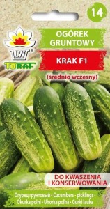Ogórek gruntowy KRAK F1 (średnio wczesny)