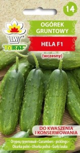 Ogórek gruntowy HELA F1 (wczesny)