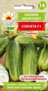 Ogórek gruntowy CORVETA F1 (wczesny)