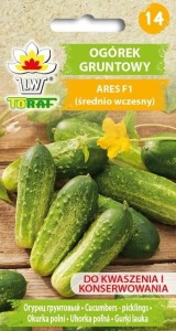 Ogórek gruntowy Ares F1 mieszaniec (średnio wczesny)