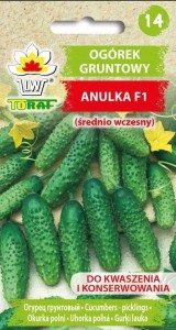 Ogórek gruntowy ANULKA F1 (średnio wczesny)