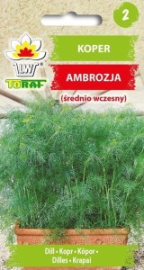 Koper ogrodowy AMBROZJA (średnio wczesny)