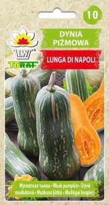 DYNIA PIŻMOWA LUNGA DI NAPOLI nasiona GIGANTYCZNE OWOCE DO 15 kg