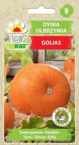 Dynia olbrzymia Golias 4g