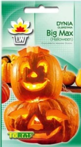 Dynia olbrzymia Big Max 4g Halloween