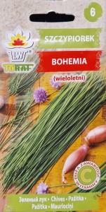 Szczypiorek Bohemia nasiona warzyw