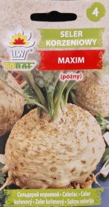 Seler korzeniowy Maxim późny nasiona selera warzyw