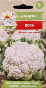 Kalafior Bora nasiona warzyw kalafiora odporny