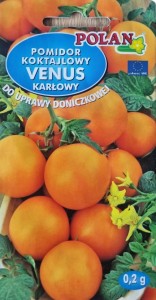 Pomidor Karłowy Drobnoowocowy Venus pomidory