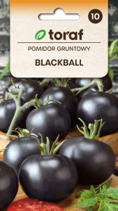 Pomidor Gruntowy Blackball nasiona warzyw plenne