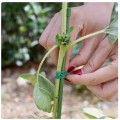 227b835d872c992c0bfb23bf7ccf6c36.jpg