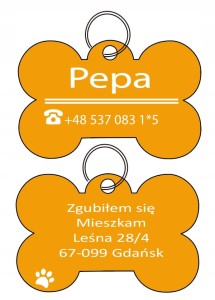 IDENTYFIKATOR ADRESÓWKA DLA PSA KOTA KOŚĆ GRAWER L