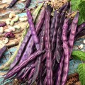 fb4821895918f7ffaa6a36f81b381902.jpg