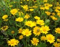 3e4a1732bee3d4aa2a1b0ff99dfe058e.jpg