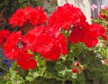 c94628756cc1dbe8e05ca4bc8cb97bc7.jpg