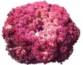 3d339c944890eb290e4a33d2d78cbb77.jpg