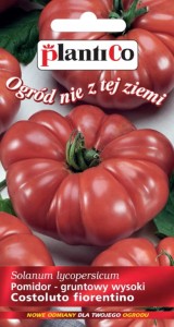 Pomidor Wysoki Costoluto Fiorentino - tunel / grunt + Tabliczki do opisu