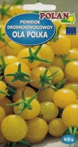 Pomidor Karłowy Drobnoowocowy Ola Polka - żółte Nasiona + Tabliczki