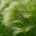 95061c0568ea871cea8ff18e8384b8a4.jpg