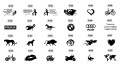 2021-03-07 13_18_03-str 2.ai_ @ 50% (RGB_Podgląd GPU).jpg