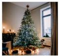 Zrzut ekranu 2023-12-14 203605.png