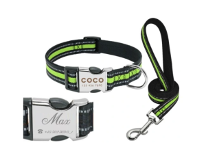 OBROŻA + SMYCZ IMIĘ IDENTYFIKATOR ADRESÓWKA XL